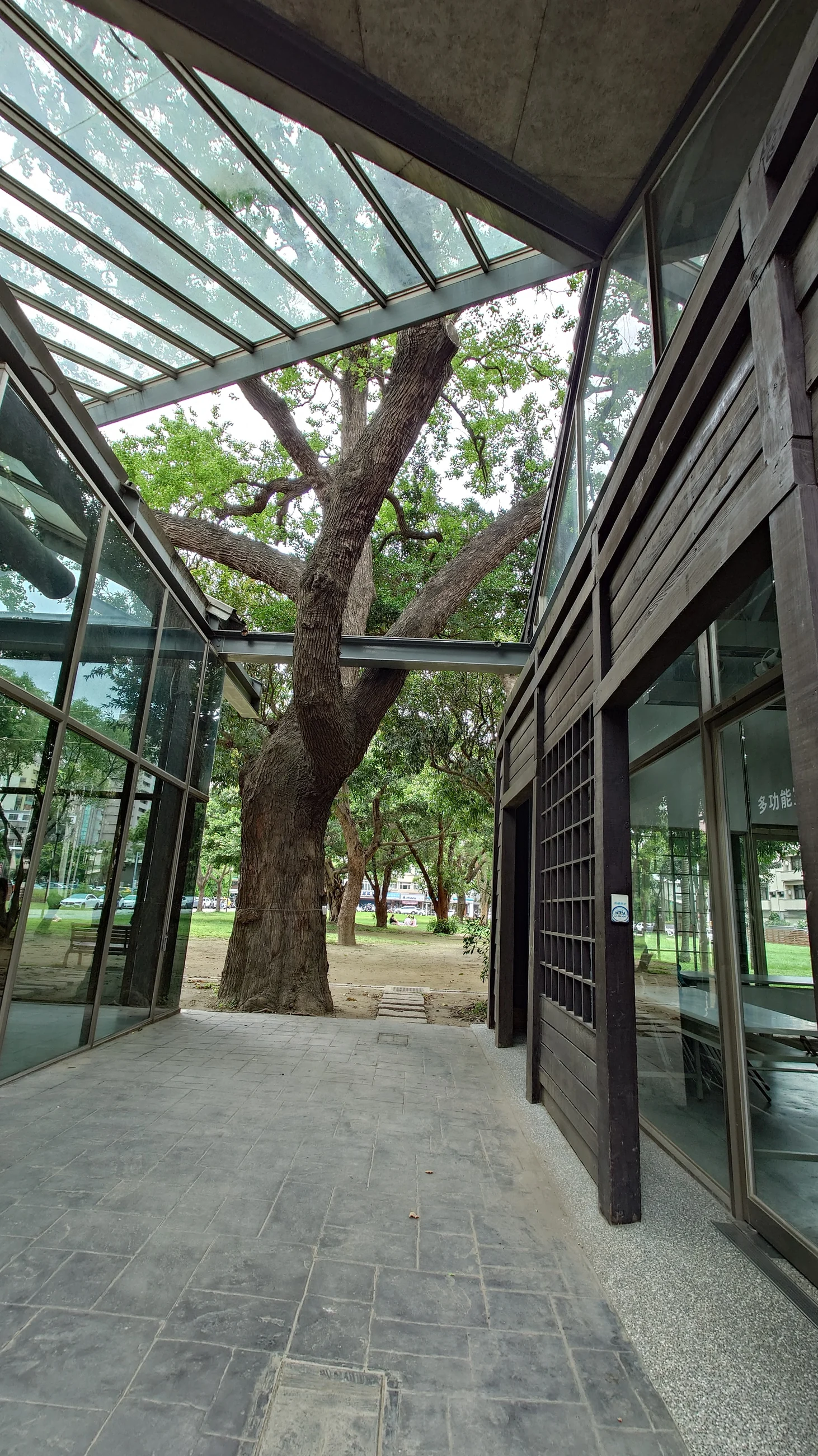 新竹市青少年館玻璃屋頂與保留老樹
